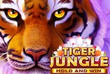 RTP quickspin Slot Jackpot Gecko158